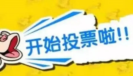 网上人工投票10元1000票，是真的吗？-第2张图片-www.211178.com_果博福布斯