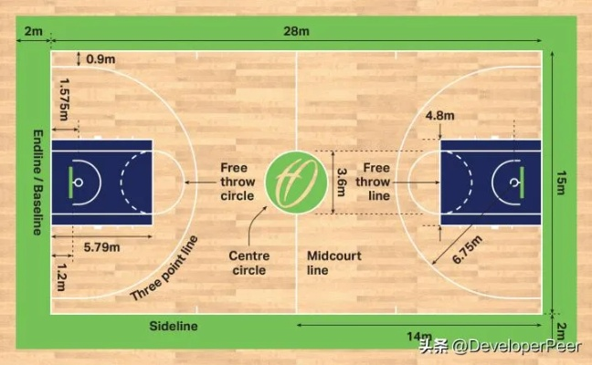 篮球场地图标准尺寸是多少？-第3张图片-www.211178.com_果博福布斯